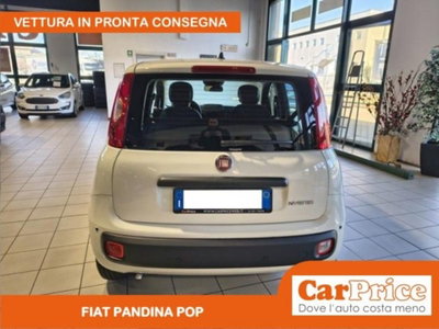 Fiat Pandina 1.0 firefly hybrid Pop s&s 65cv (10)