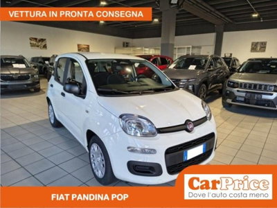 Fiat Pandina 1.0 firefly hybrid Pop s&s 65cv (4)