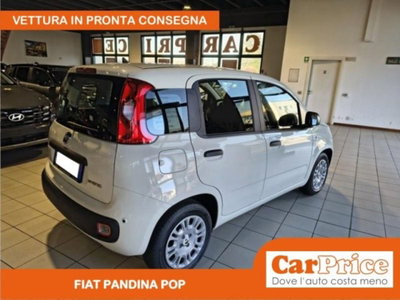 Fiat Pandina 1.0 firefly hybrid Pop s&s 65cv (5)