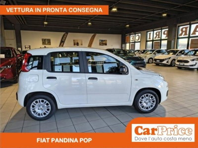 Fiat Pandina 1.0 firefly hybrid Pop s&s 65cv (8)