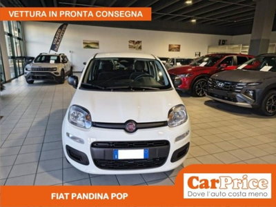 Fiat Pandina 1.0 firefly hybrid Pop s&s 65cv (9)