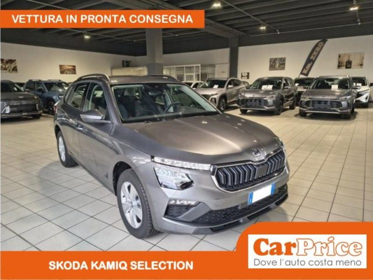 Skoda Kamiq 1.0 tsi Selection 115cv (13)