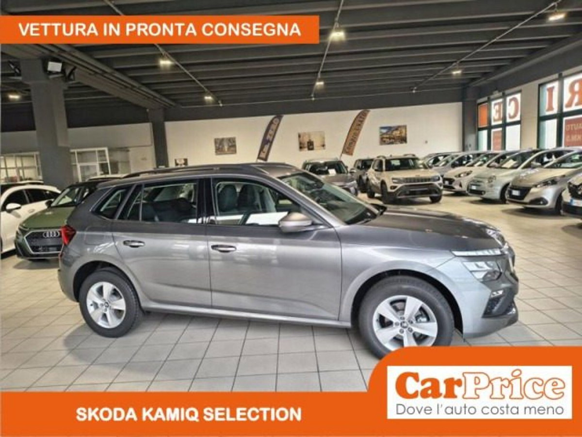 Skoda Kamiq 1.0 tsi Selection 115cv (17)