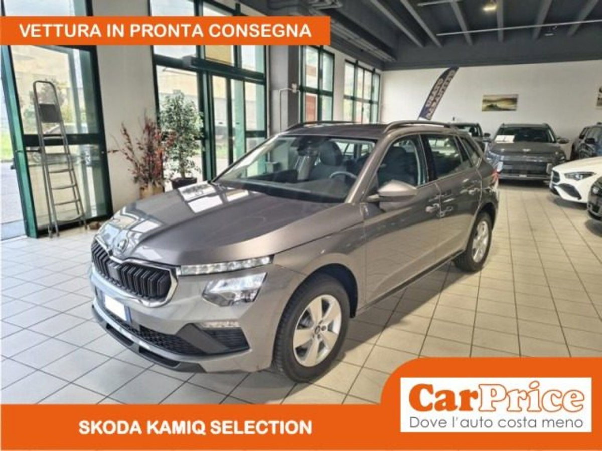 Skoda Kamiq 1.0 tsi Selection 115cv (2)