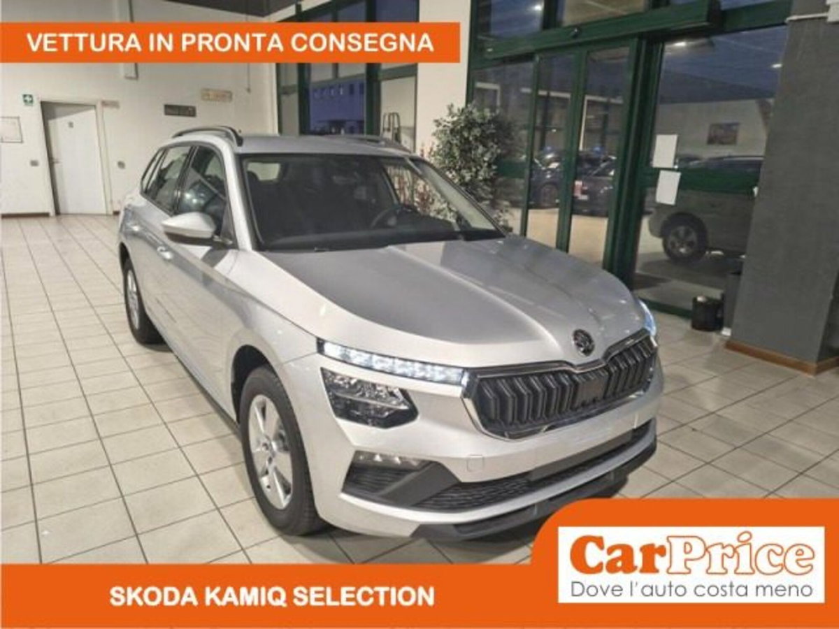 Skoda Kamiq 1.0 tsi Selection 115cv (4)