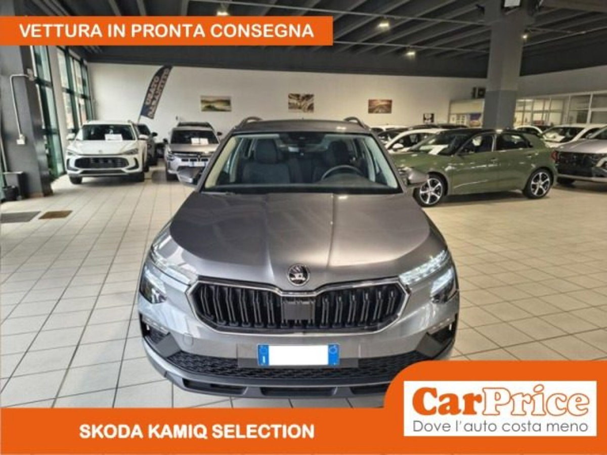 Skoda Kamiq 1.0 tsi Selection 115cv (18)