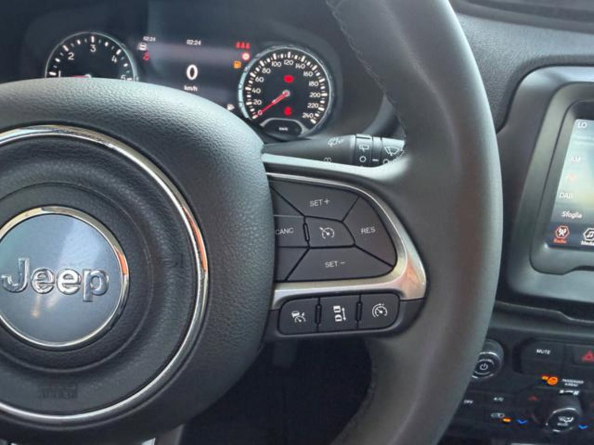 Jeep Renegade 1.6 Mjt 130 CV S (17)