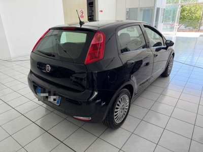 Fiat Punto 1.3 MJT II S&S 95 CV 5 porte Street (4)