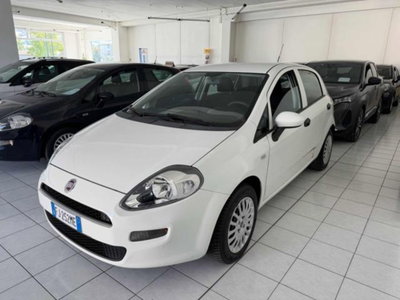 Fiat Punto 1.2 8V 5 porte Street (3)