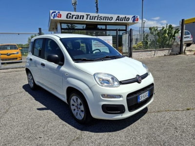 Fiat Panda 1.2 EasyPower Easy usata