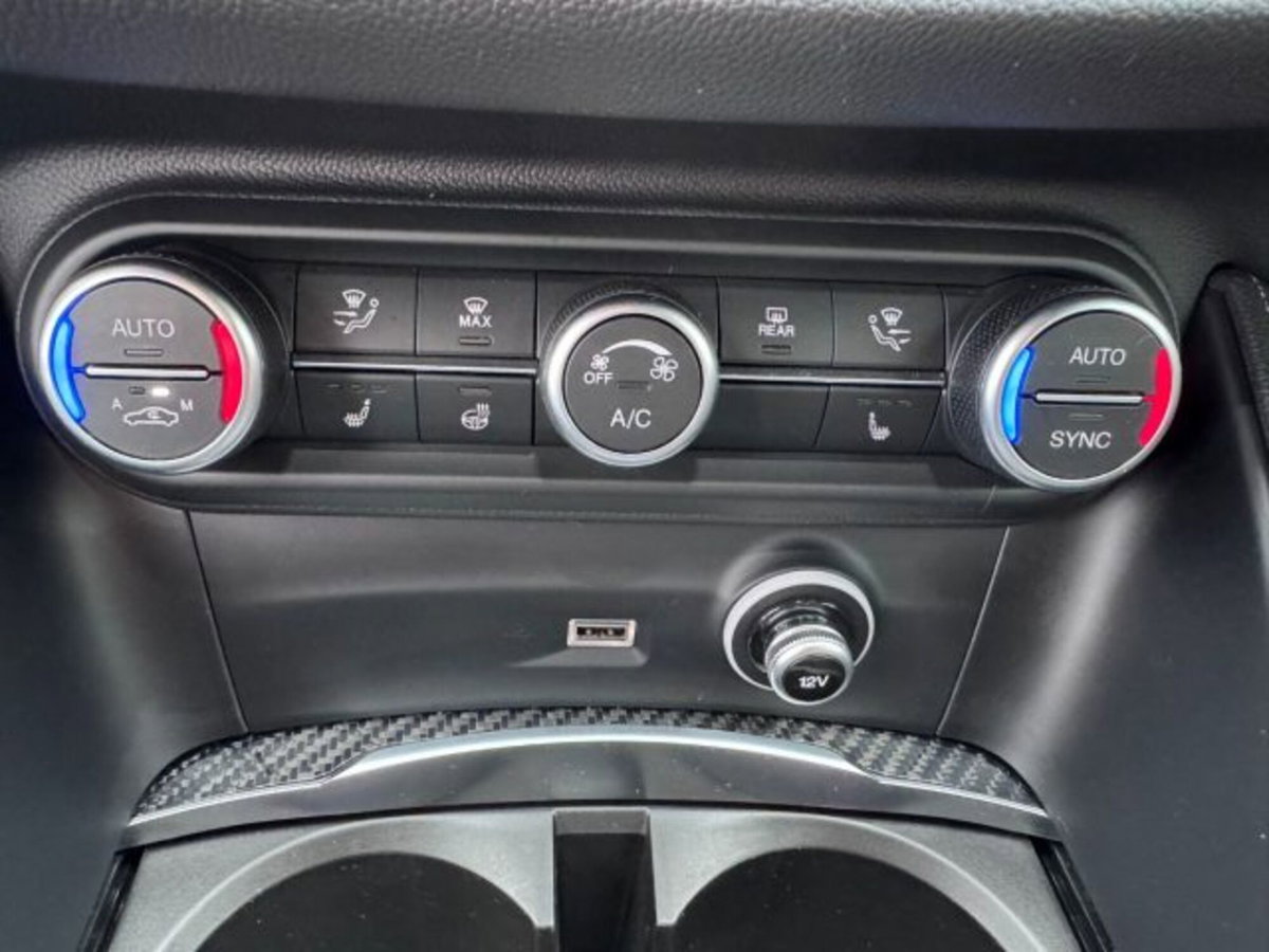 Alfa Romeo Stelvio Stelvio 2.9 Bi-Turbo V6 510 CV AT8 Quadrifoglio (13)