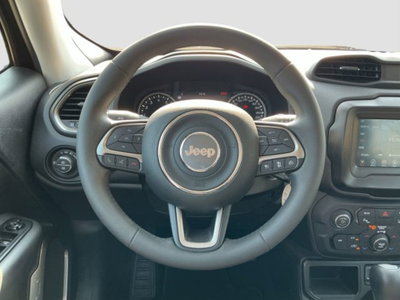 Jeep Renegade 1.5 Turbo T4 MHEV Limited (12)