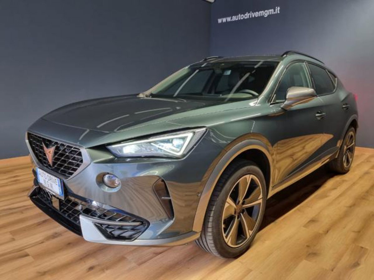 Cupra Formentor Formentor 1.5 TSI (18)