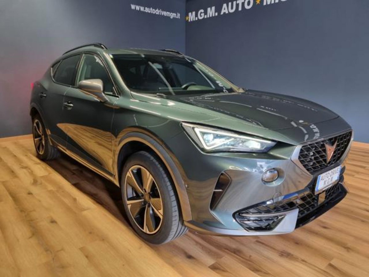 Cupra Formentor Formentor 1.5 TSI (15)