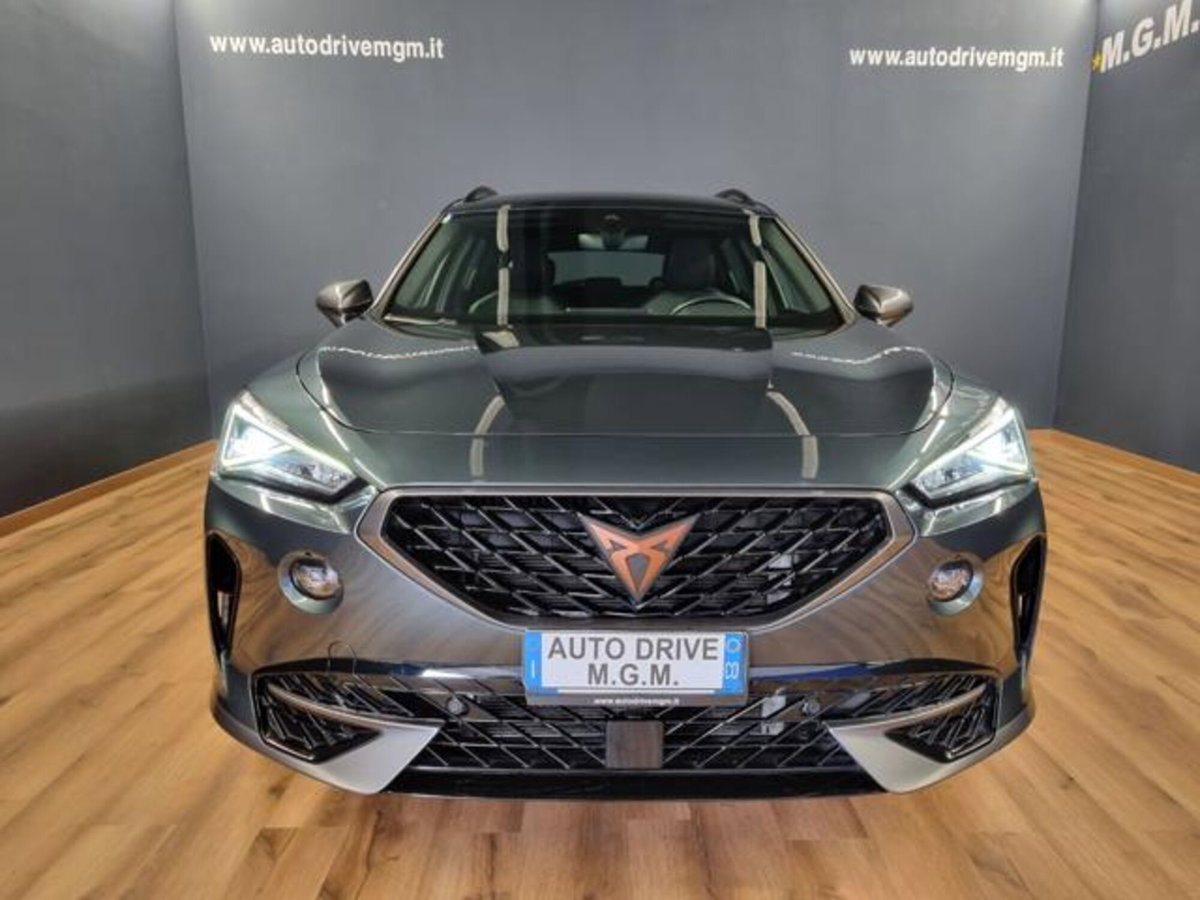 Cupra Formentor Formentor 1.5 TSI (16)