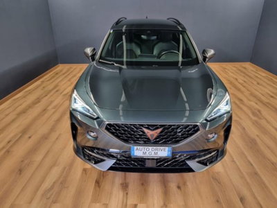 Cupra Formentor Formentor 1.5 TSI (17)