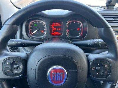 Fiat Panda 1.0 firefly hybrid s&s 70cv 5p.ti (9)