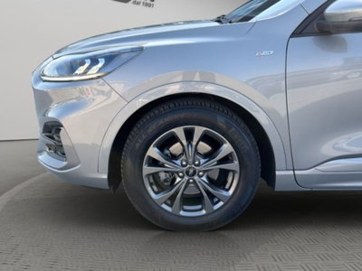 Ford Kuga 1.5 EcoBlue 120 CV 2WD ST-Line (19)