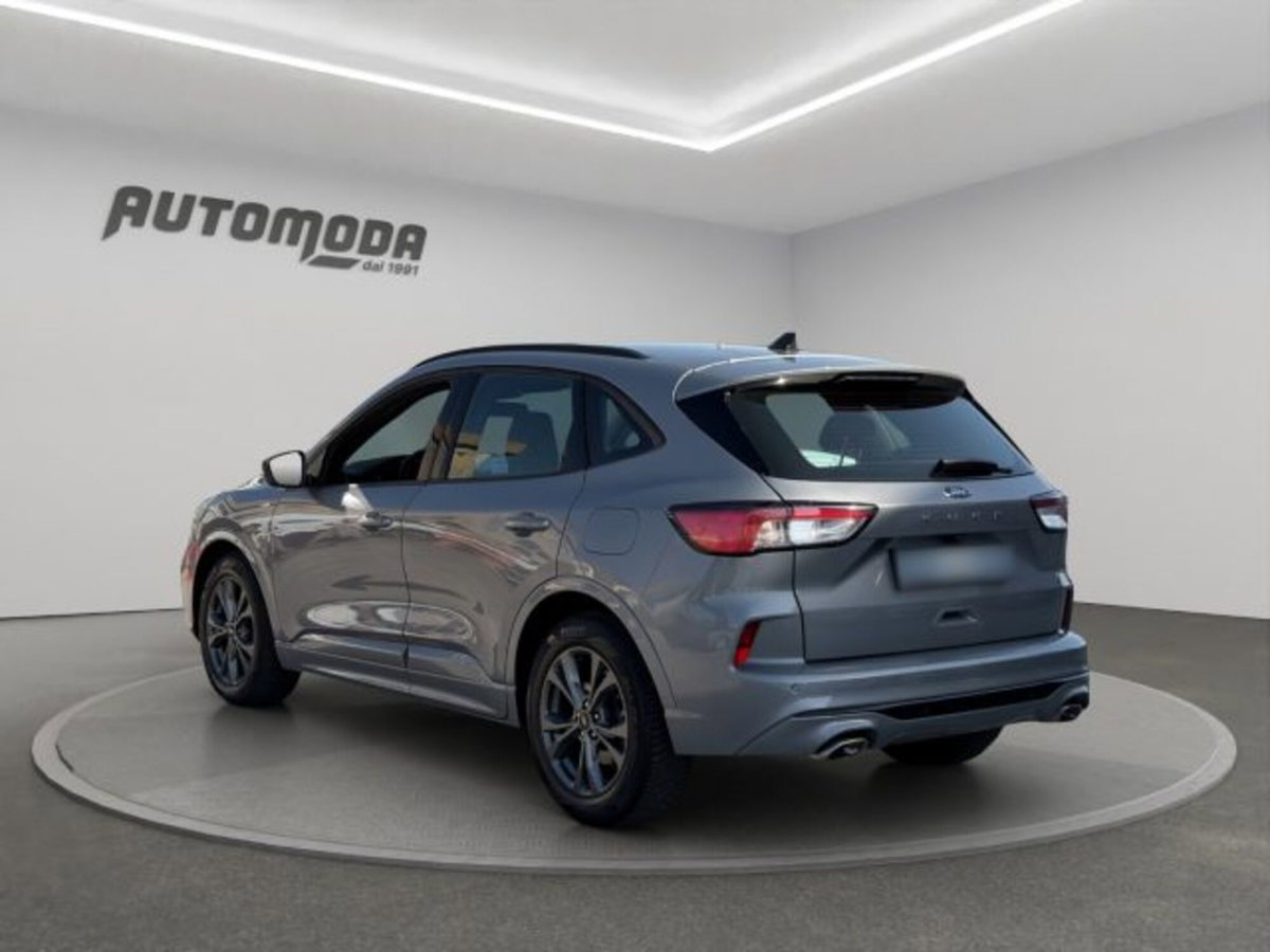 Ford Kuga 1.5 EcoBlue 120 CV 2WD ST-Line (6)