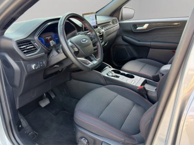 Ford Kuga 1.5 EcoBlue 120 CV 2WD ST-Line (7)