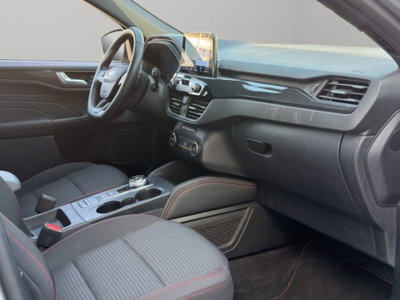 Ford Kuga 1.5 EcoBlue 120 CV 2WD ST-Line (9)