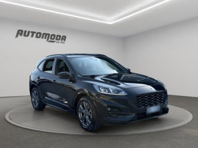 Ford Kuga 2.0 EcoBlue 120 CV aut. 2WD ST-Line X (3)