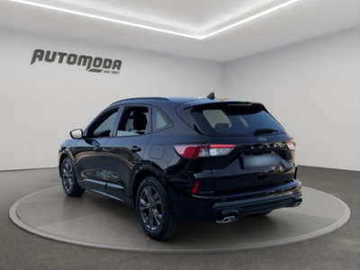 Ford Kuga 2.0 EcoBlue 120 CV aut. 2WD ST-Line X (6)