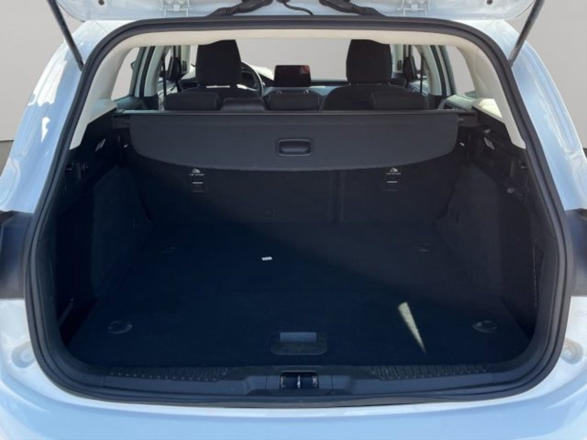 Ford Focus Station Wagon 1.5 EcoBlue 120 CV automatico SW Business (15)