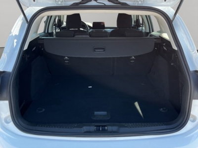 Ford Focus Station Wagon 1.5 EcoBlue 120 CV automatico SW Business (15)