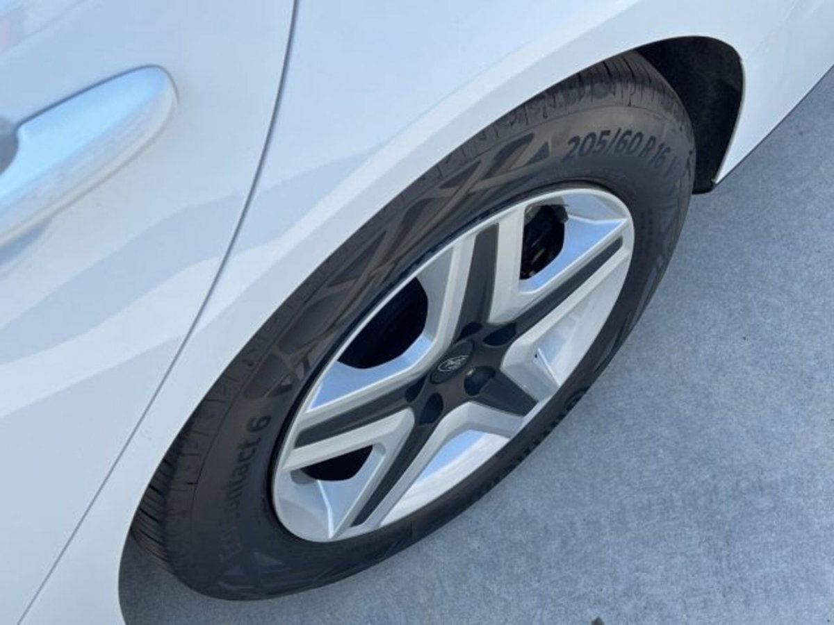 Ford Focus Station Wagon 1.5 EcoBlue 120 CV automatico SW Business (18)