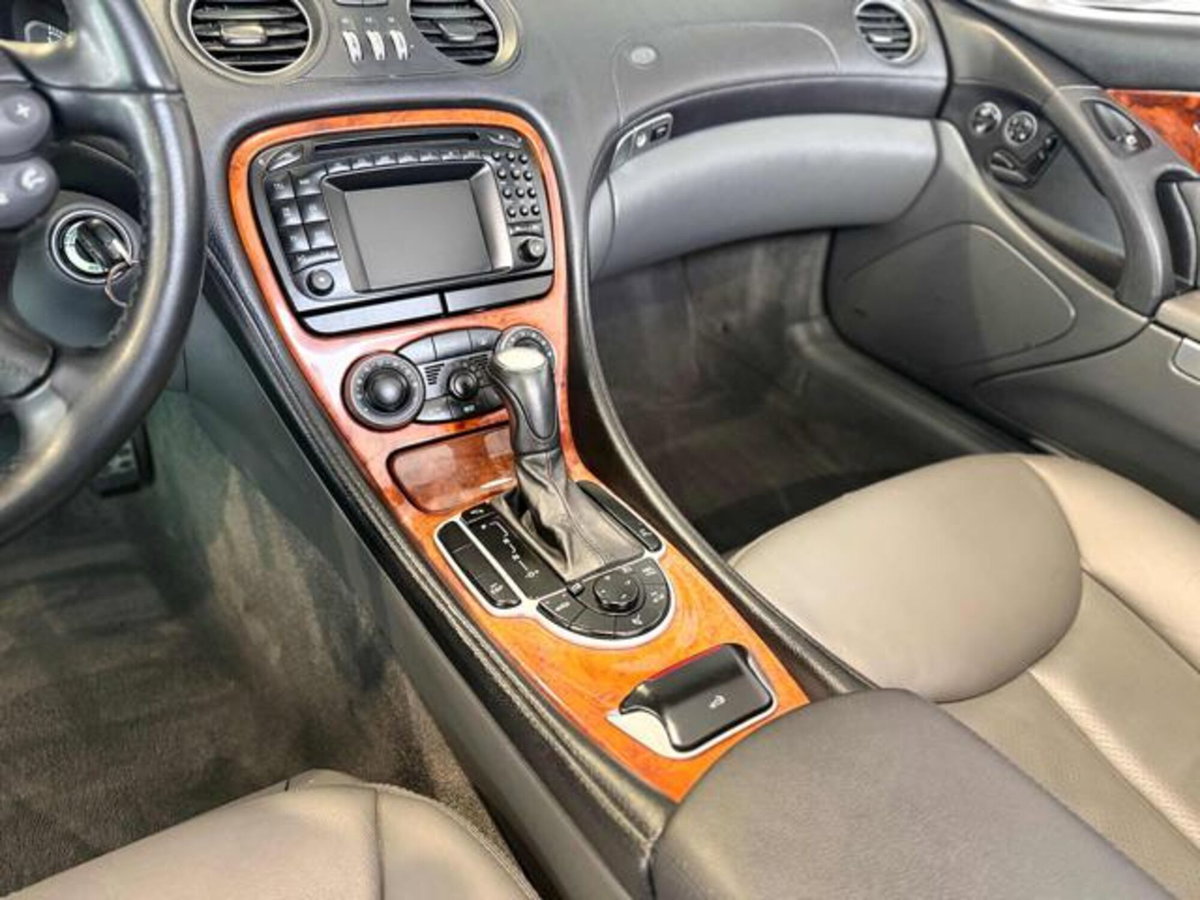 Mercedes-Benz SL 500 cat (10)