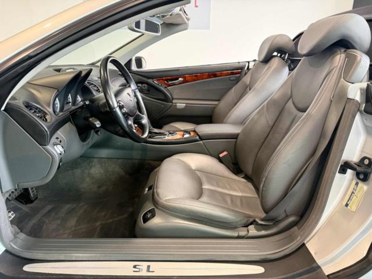 Mercedes-Benz SL 500 cat (11)