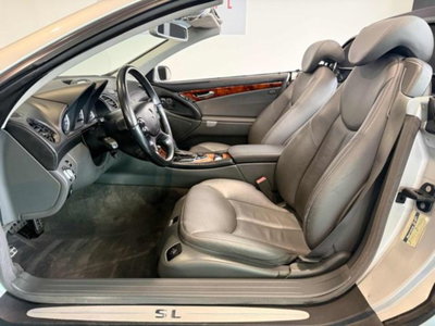 Mercedes-Benz SL 500 cat (11)