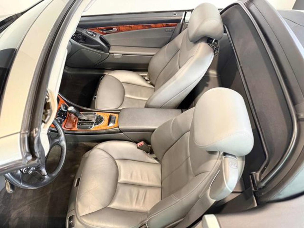 Mercedes-Benz SL 500 cat (12)