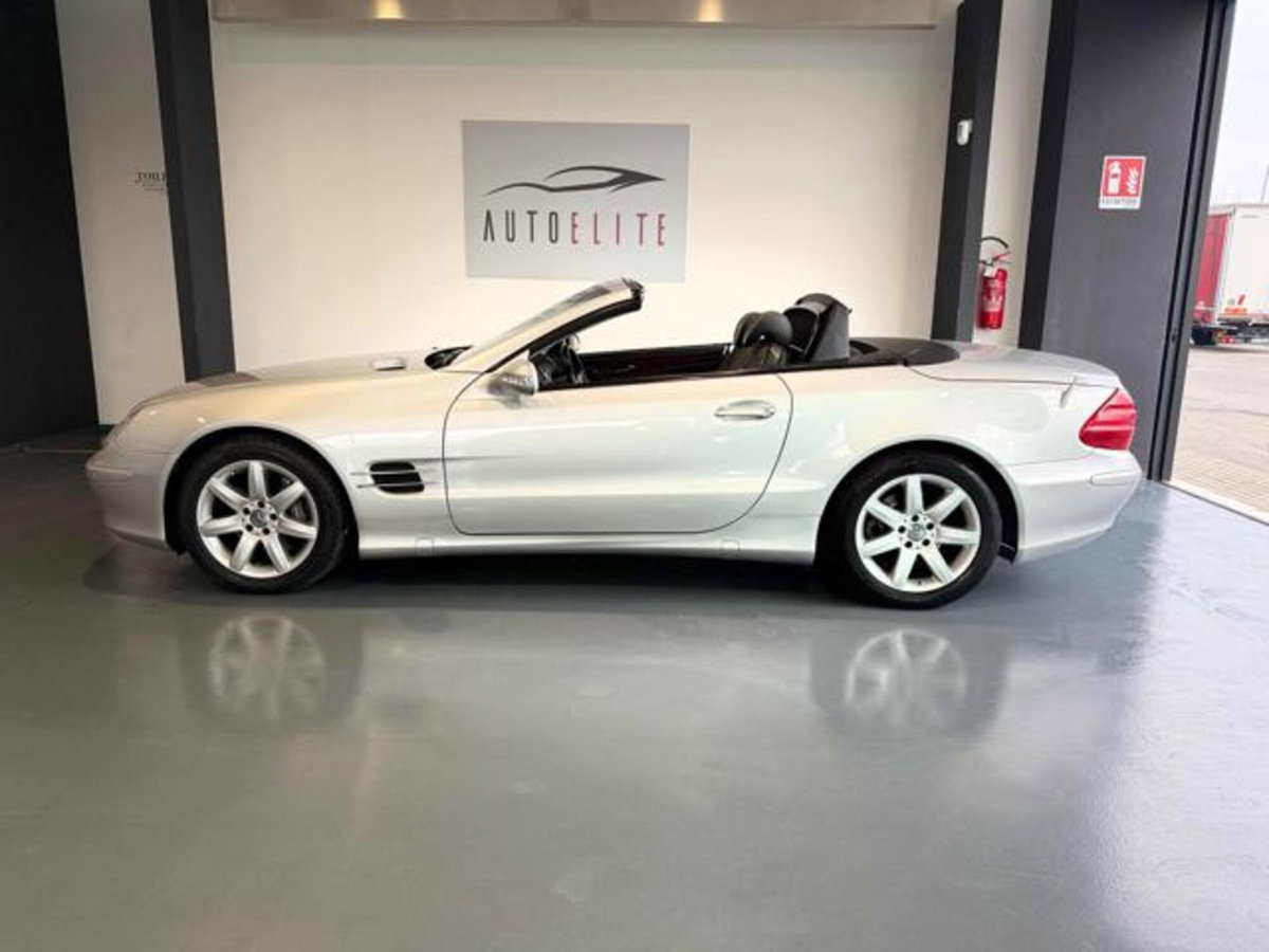 Mercedes-Benz SL 500 cat (16)