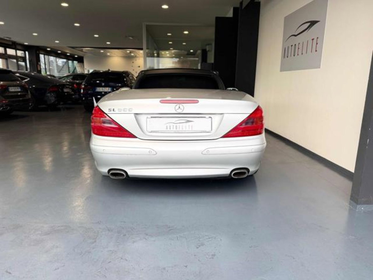Mercedes-Benz SL 500 cat (17)