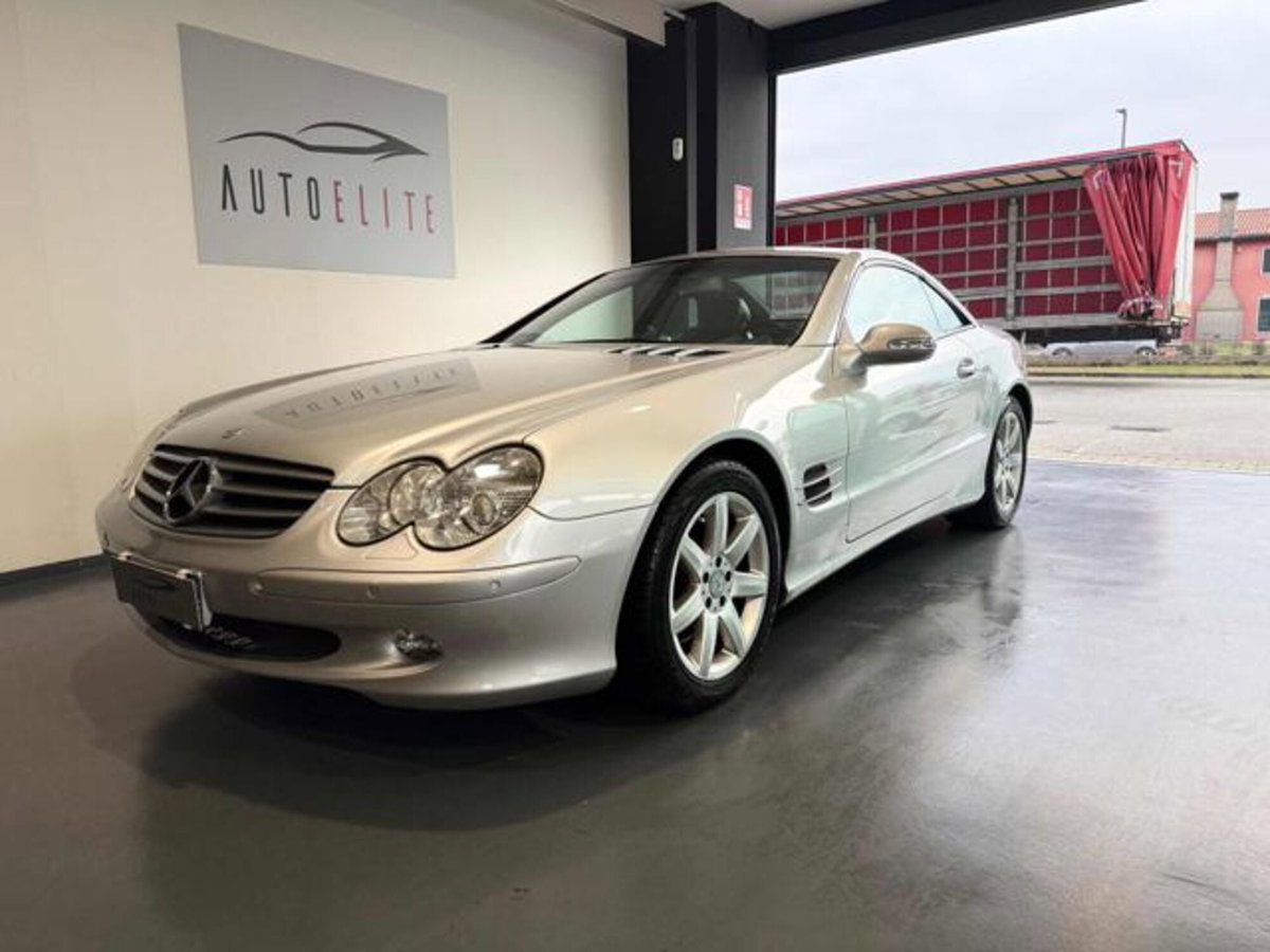 Mercedes-Benz SL 500 cat (2)