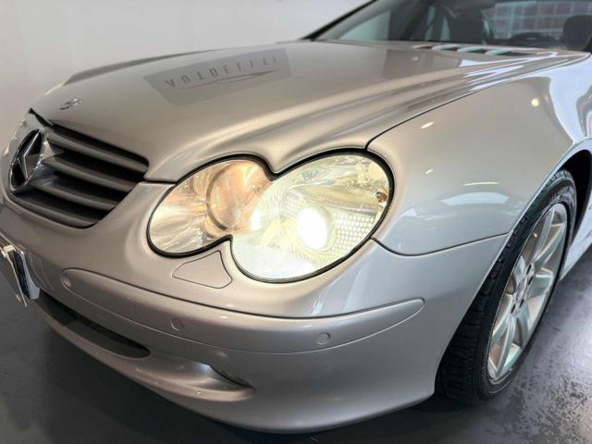 Mercedes-Benz SL 500 cat (20)