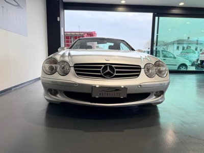 Mercedes-Benz SL 500 cat (3)