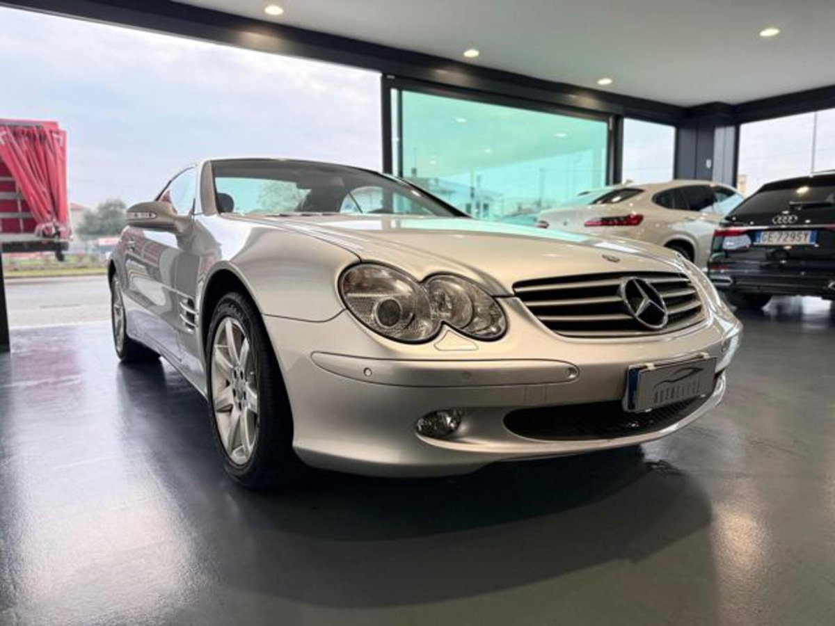 Mercedes-Benz SL 500 cat (4)