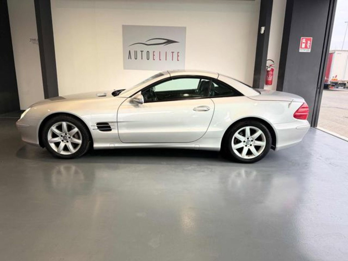Mercedes-Benz SL 500 cat (5)