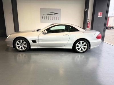 Mercedes-Benz SL 500 cat (5)