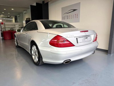 Mercedes-Benz SL 500 cat (6)