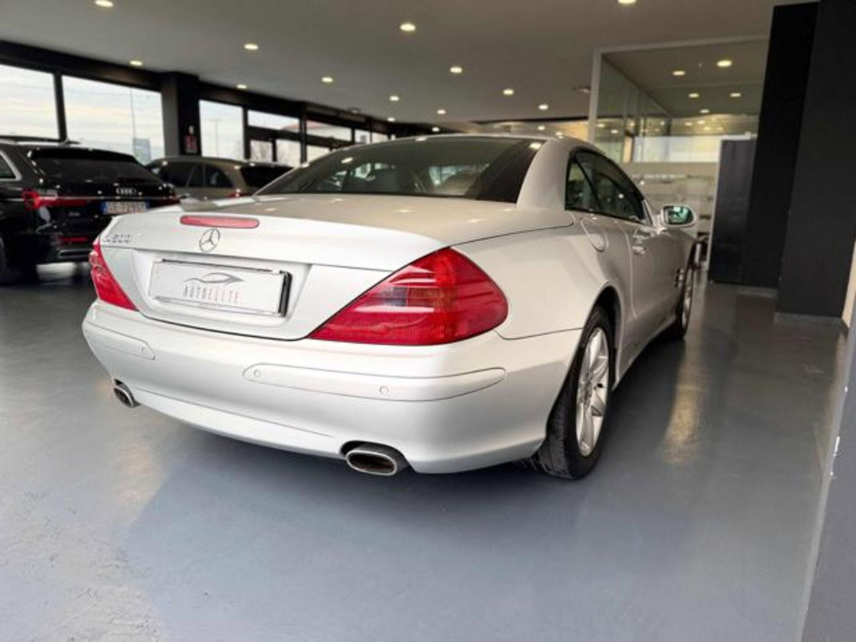 Mercedes-Benz SL 500 cat (8)