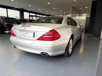Mercedes-Benz SL 500 cat (8)