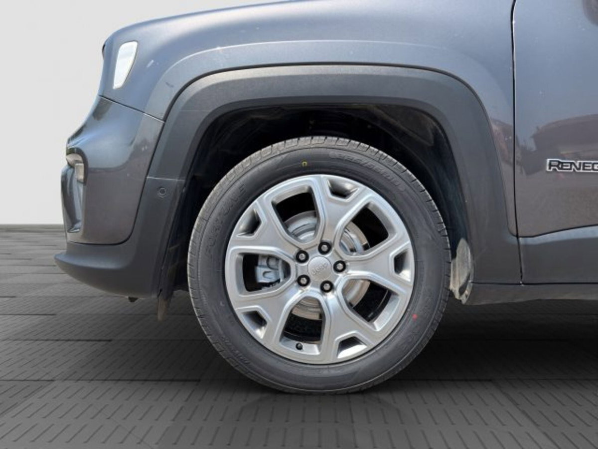 Jeep Renegade 1.6 Mjt 120 CV Limited (16)