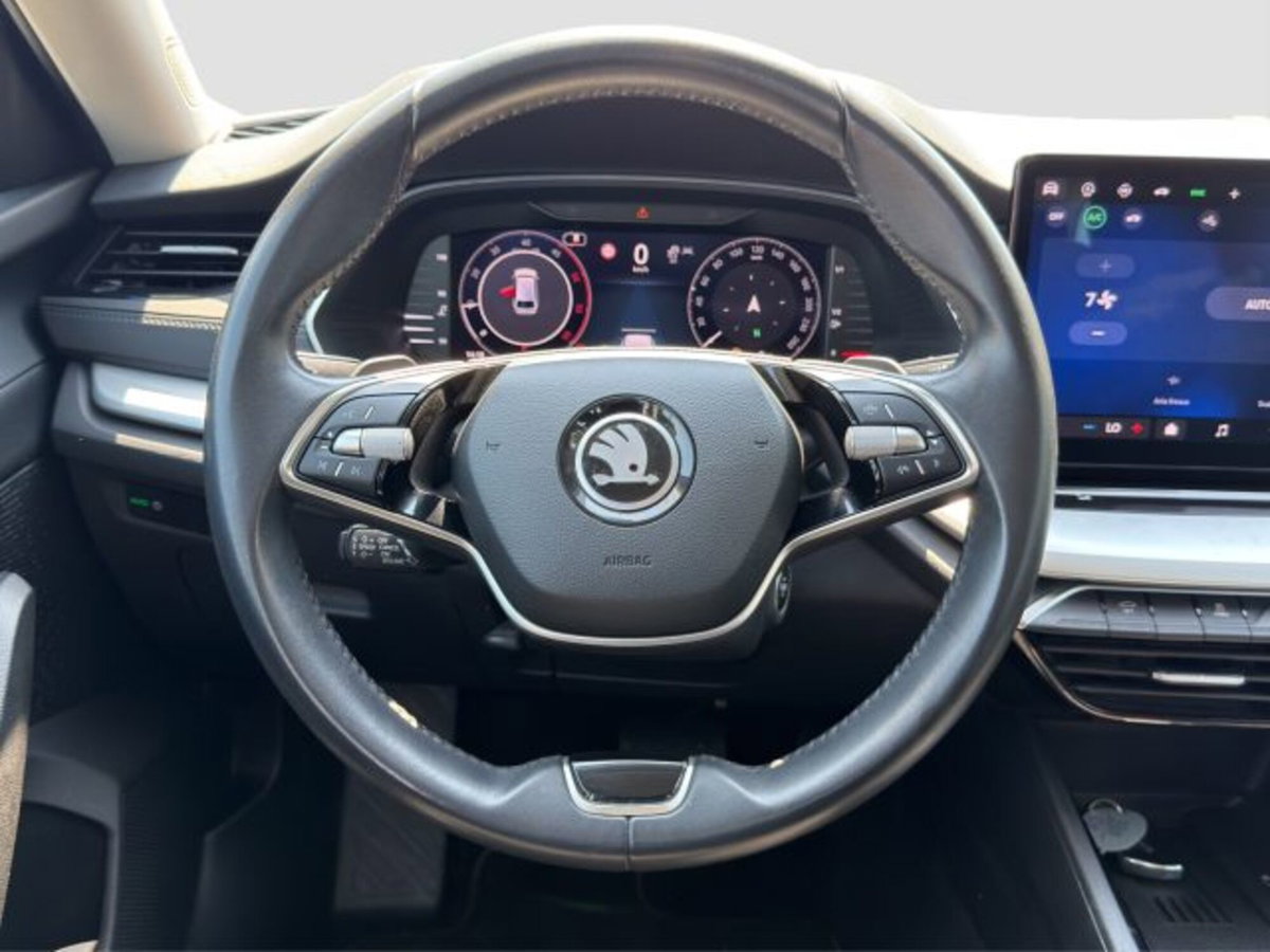 Skoda Octavia Station Wagon 2.0 tdi Executive 150cv dsg (13)