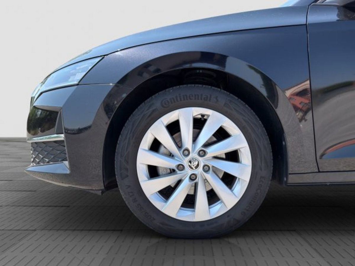Skoda Octavia Station Wagon 2.0 tdi Executive 150cv dsg (16)