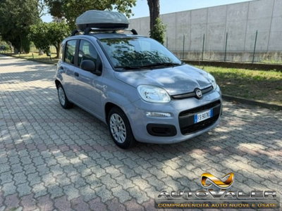 Fiat Panda 1.2 EasyPower Easy usata