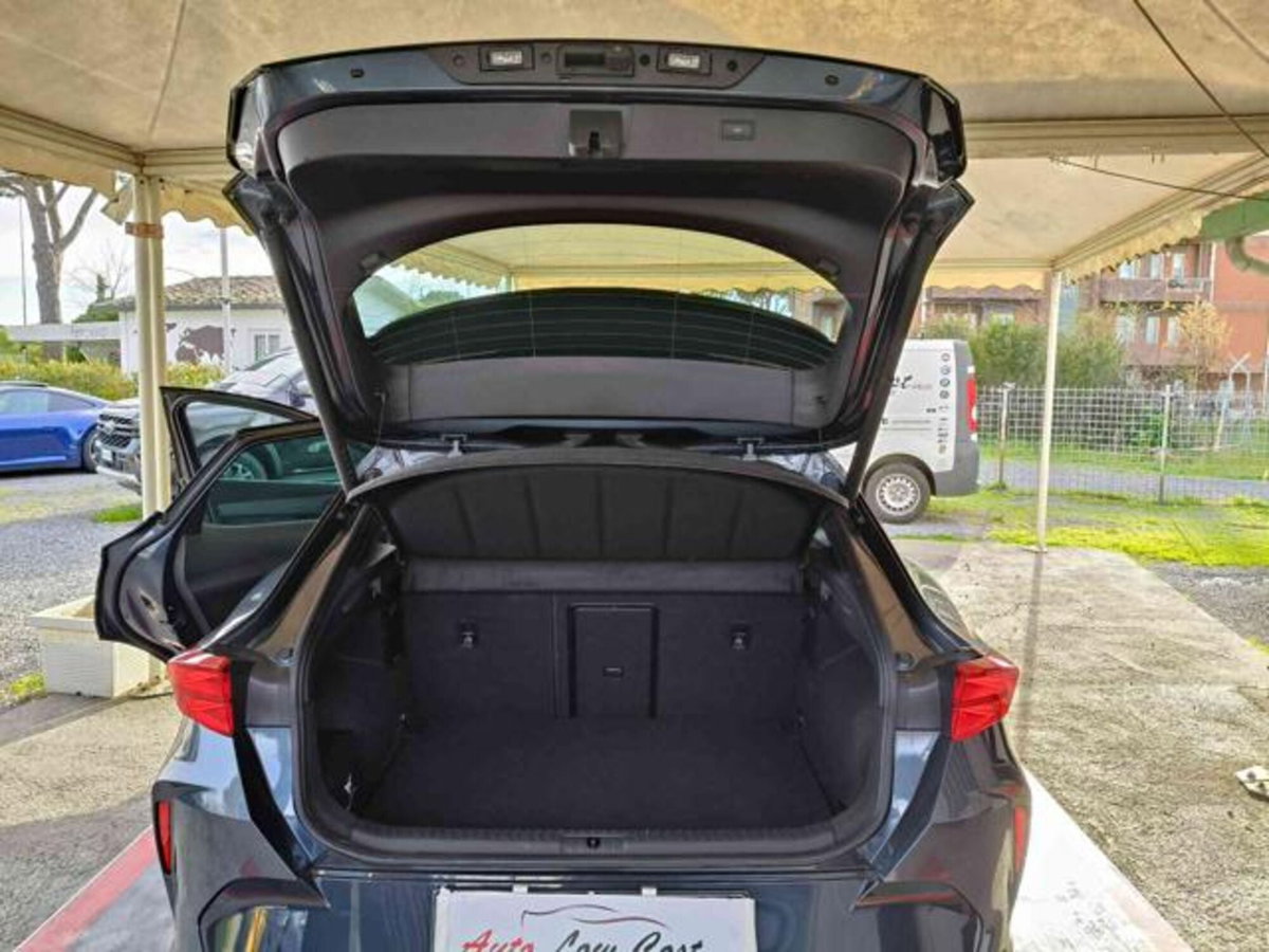 Cupra Formentor Formentor 2.0 TDI (10)